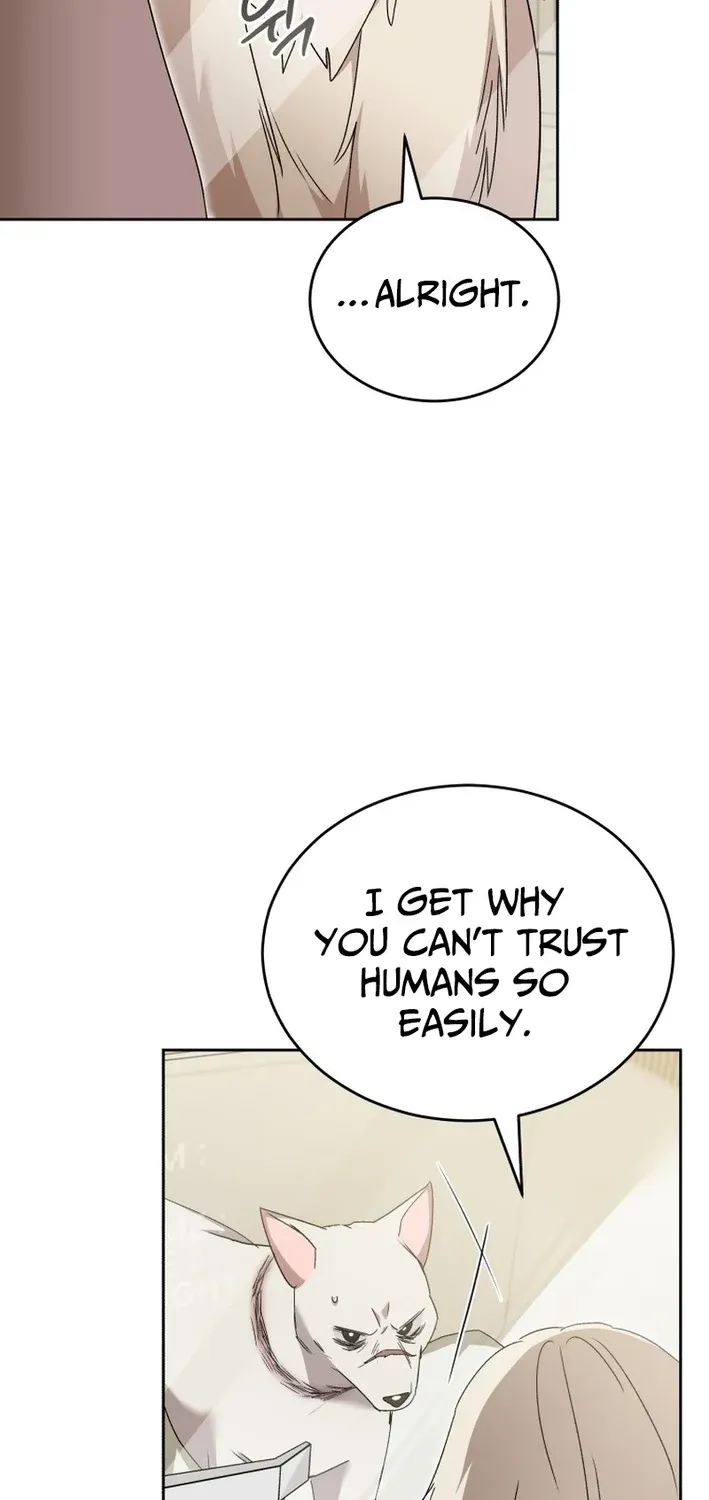 Hello, Mr. Veterinarian! Chapter 116 page 27 - 