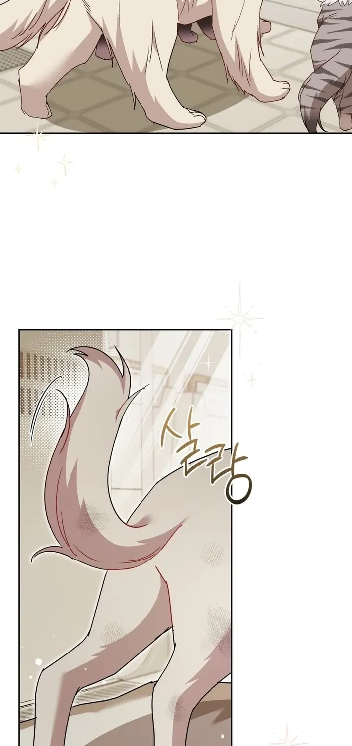 Hello, Mr. Veterinarian! Chapter 116 page 50 - 