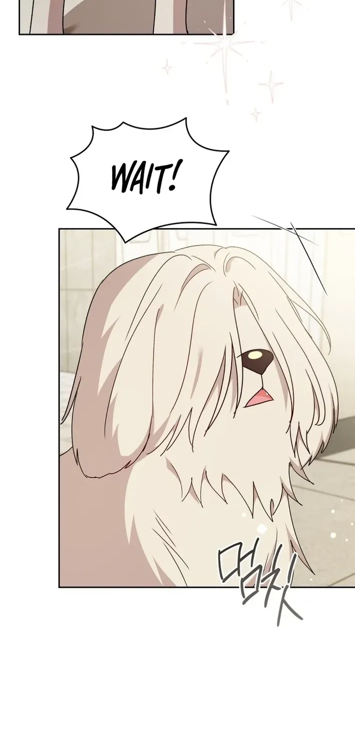 Hello, Mr. Veterinarian! Chapter 116 page 51 - 