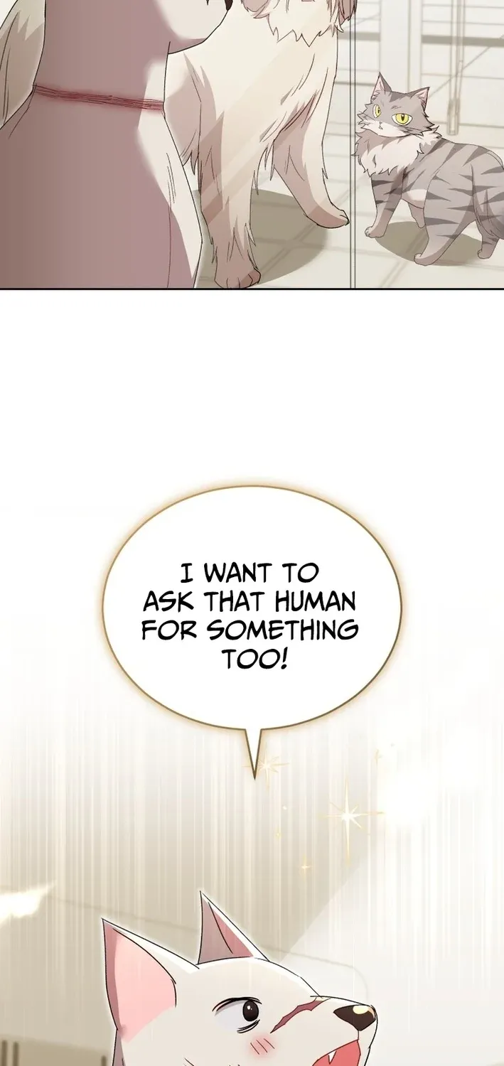 Hello, Mr. Veterinarian! Chapter 116 page 53 - 