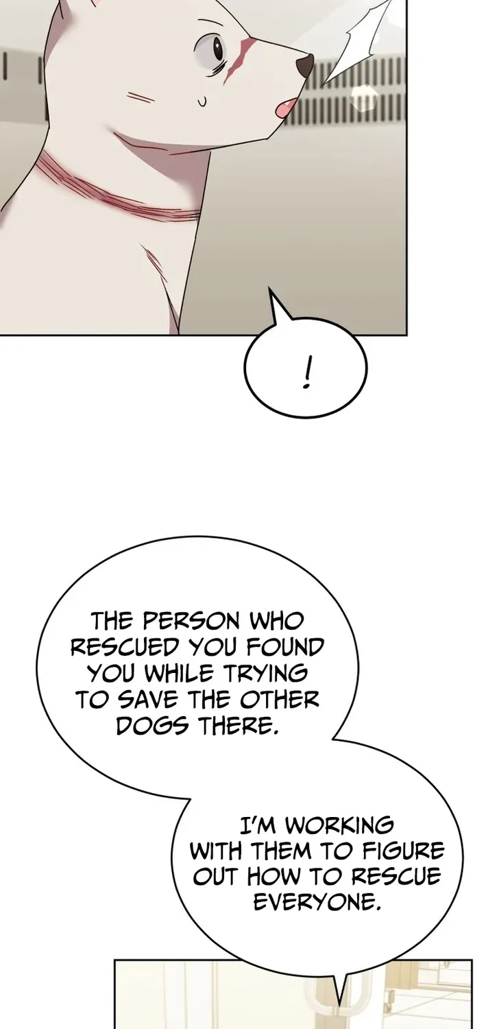 Hello, Mr. Veterinarian! Chapter 116 page 61 - 