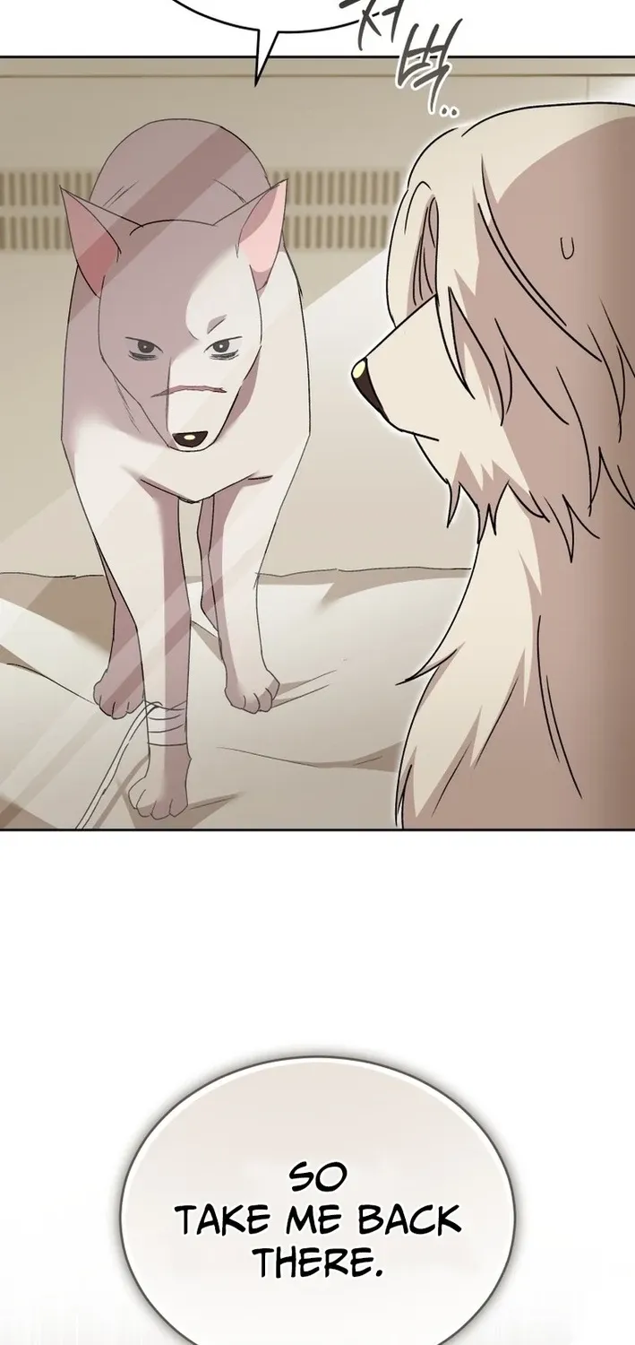 Hello, Mr. Veterinarian! Chapter 116 page 70 - 