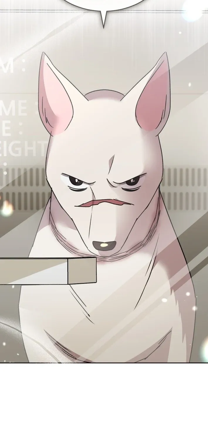 Hello, Mr. Veterinarian! Chapter 116 page 71 - 