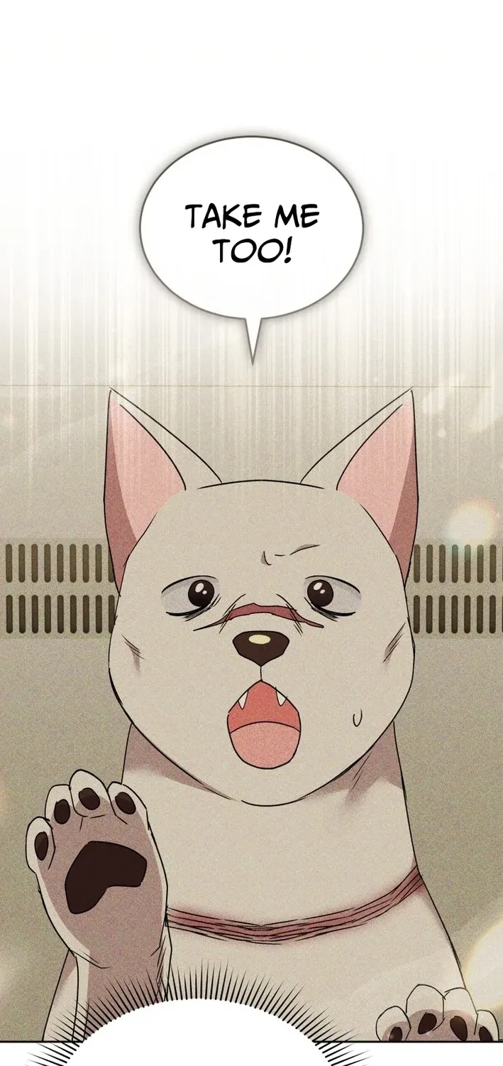 Hello, Mr. Veterinarian! Chapter 116 page 77 - 