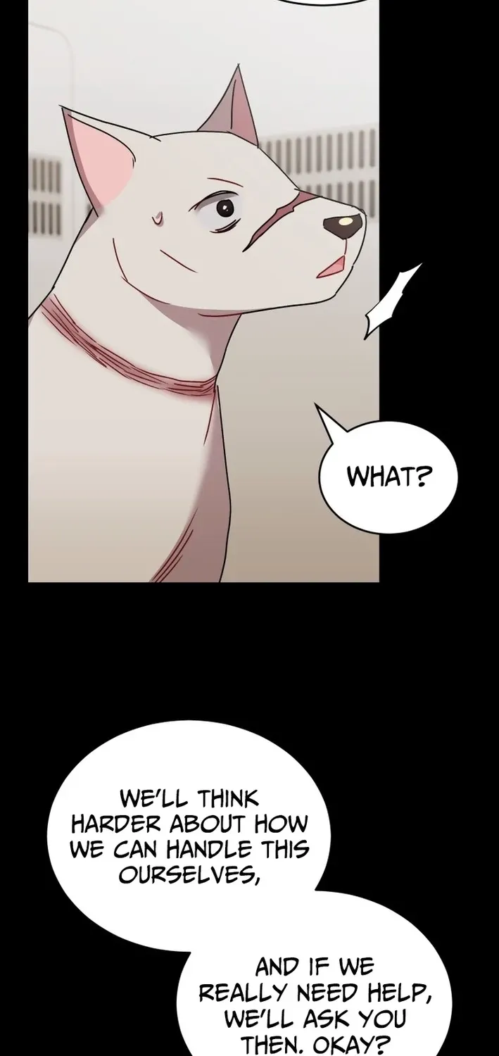 Hello, Mr. Veterinarian! Chapter 117 page 14 - 