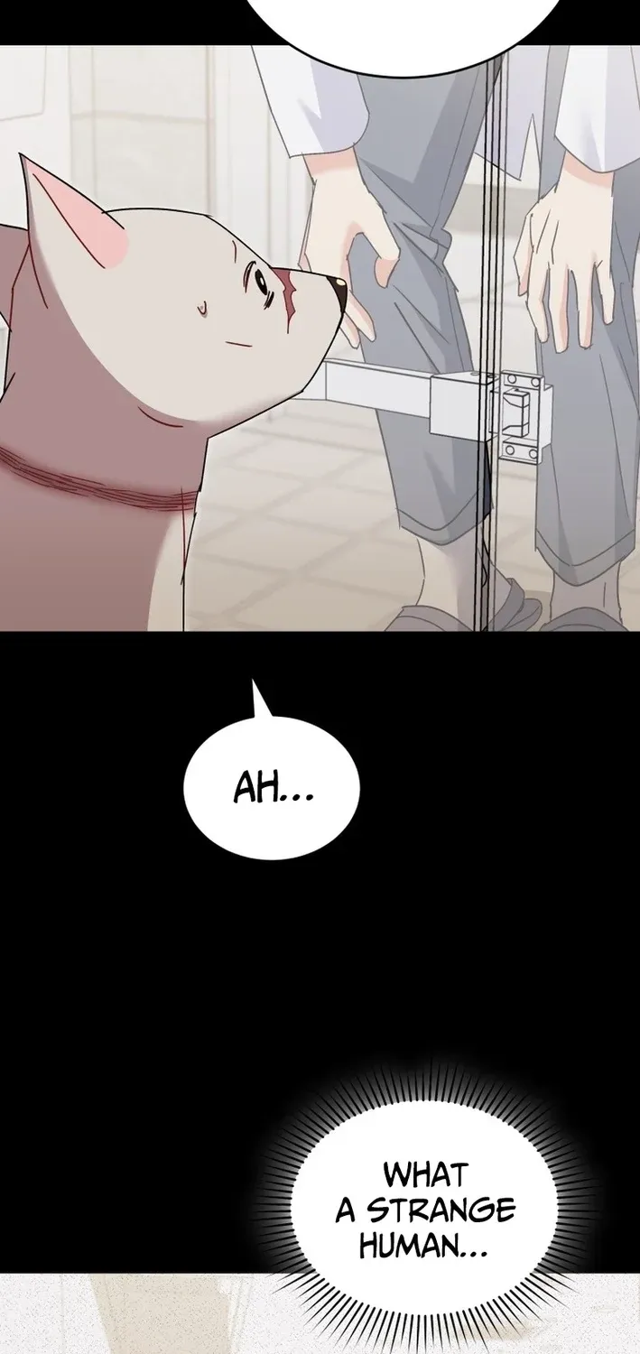 Hello, Mr. Veterinarian! Chapter 117 page 15 - 