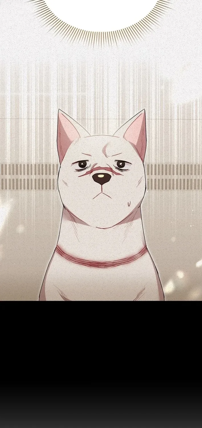 Hello, Mr. Veterinarian! Chapter 117 page 18 - 