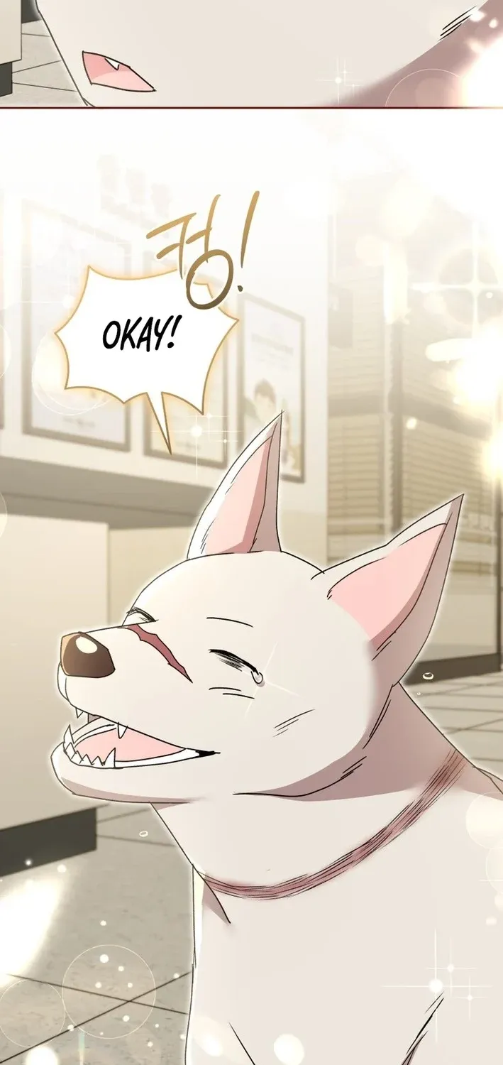 Hello, Mr. Veterinarian! Chapter 117 page 49 - 