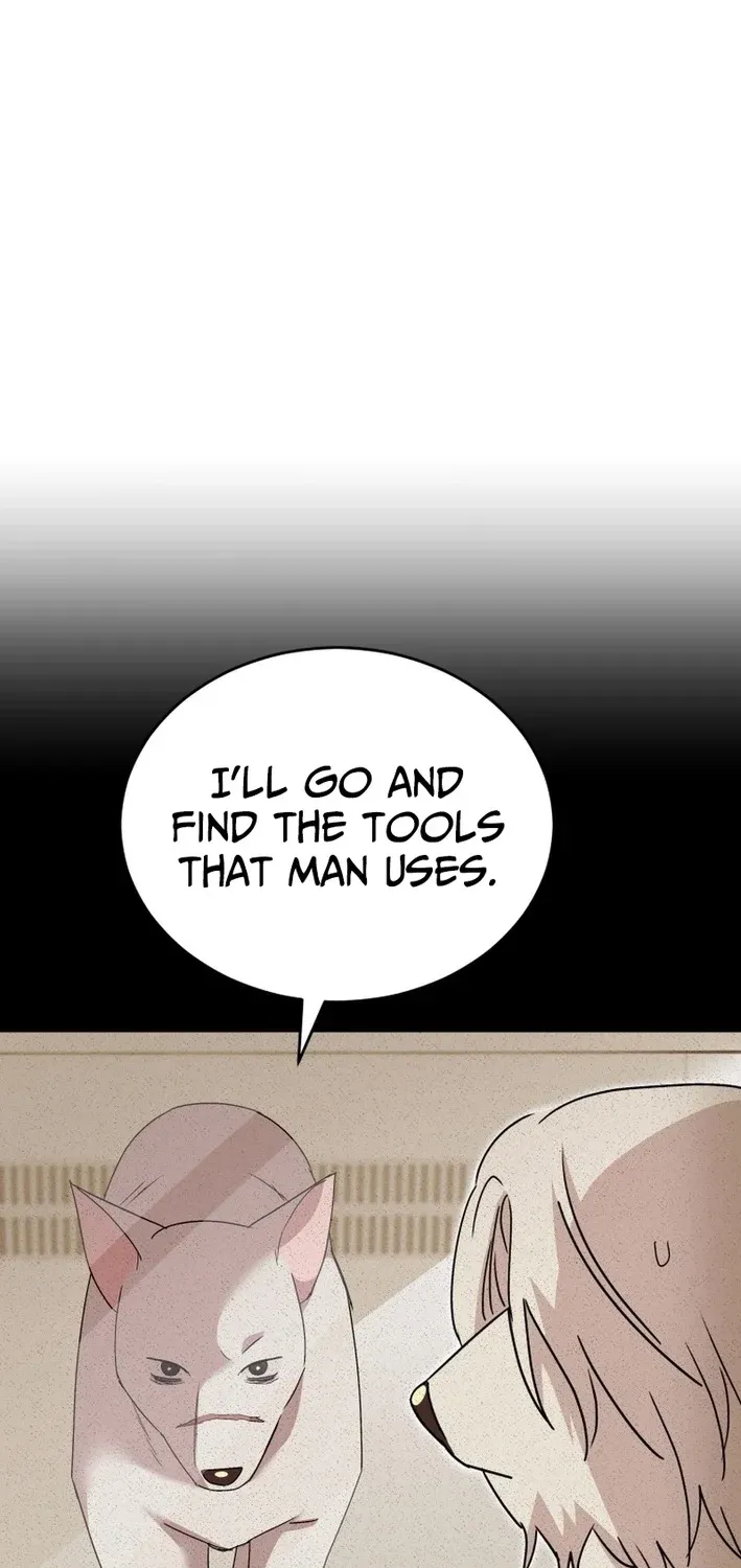 Hello, Mr. Veterinarian! Chapter 117 page 7 - 