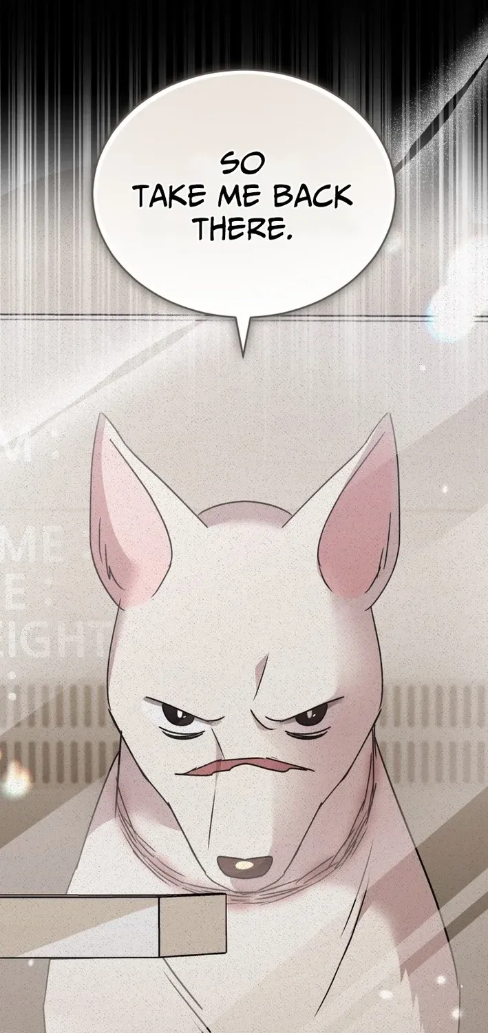 Hello, Mr. Veterinarian! Chapter 117 page 9 - 