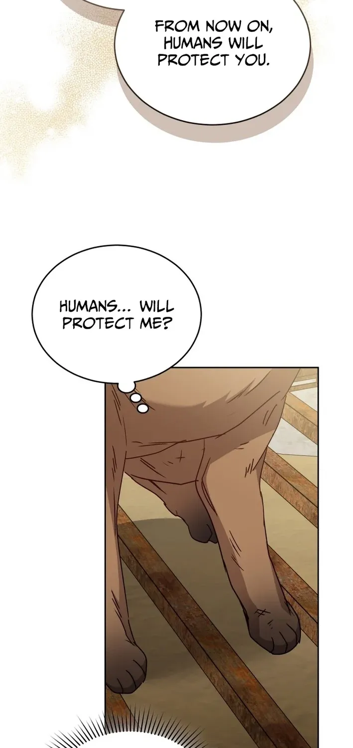 Hello, Mr. Veterinarian! Chapter 119 page 63 - 