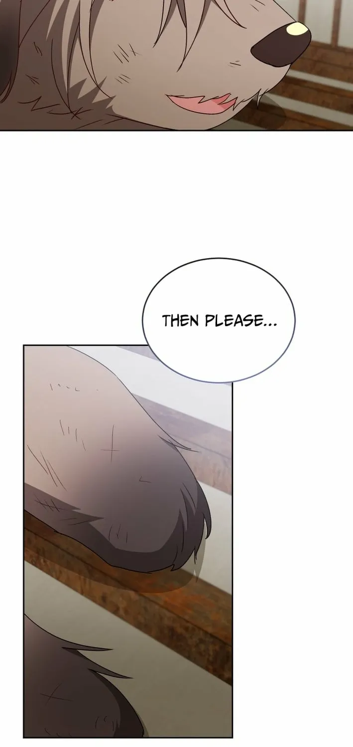 Hello, Mr. Veterinarian! Chapter 120 page 14 - 