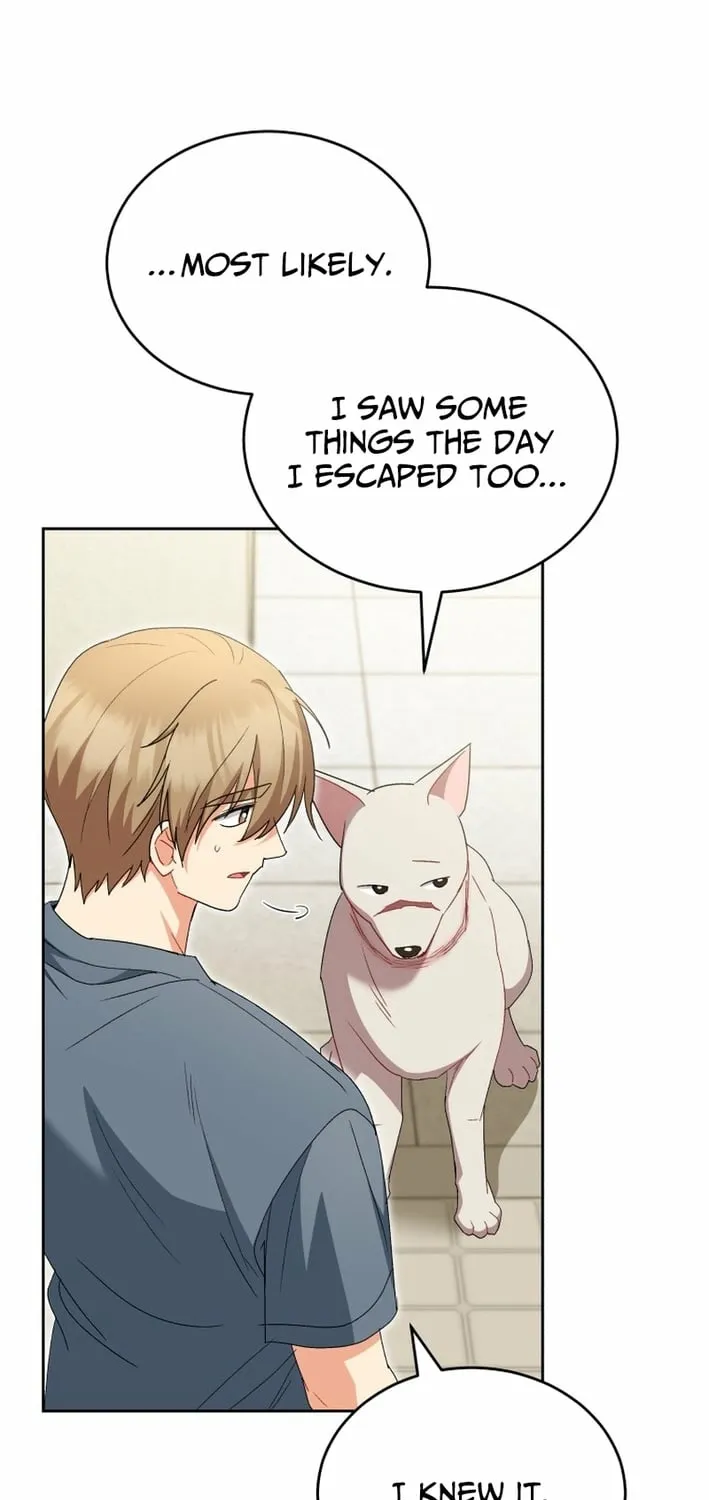 Hello, Mr. Veterinarian! Chapter 120 page 23 - 