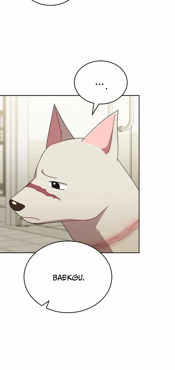 Hello, Mr. Veterinarian! Chapter 120 page 26 - 