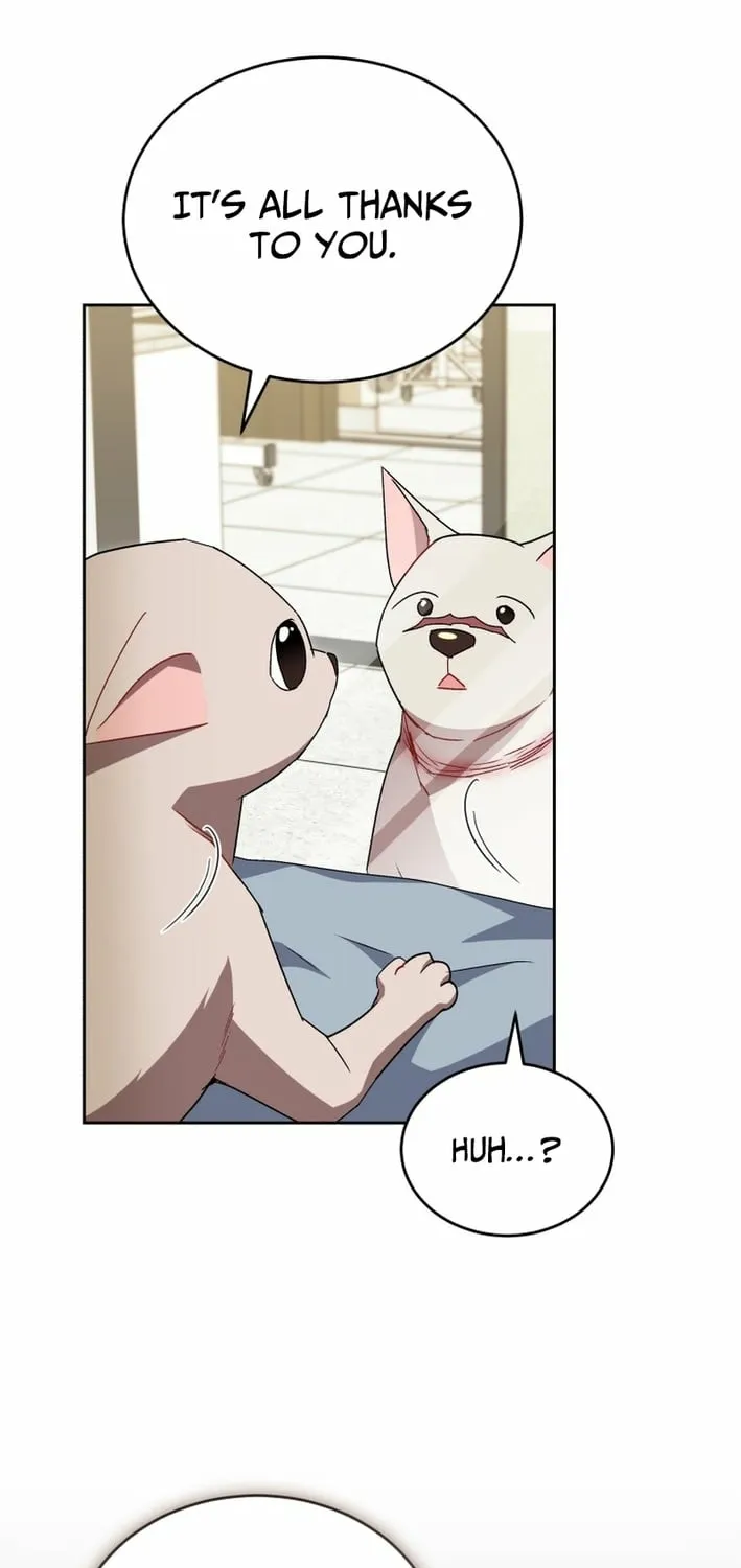 Hello, Mr. Veterinarian! Chapter 120 page 27 - 