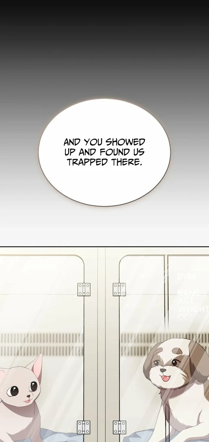 Hello, Mr. Veterinarian! Chapter 120 page 34 - 