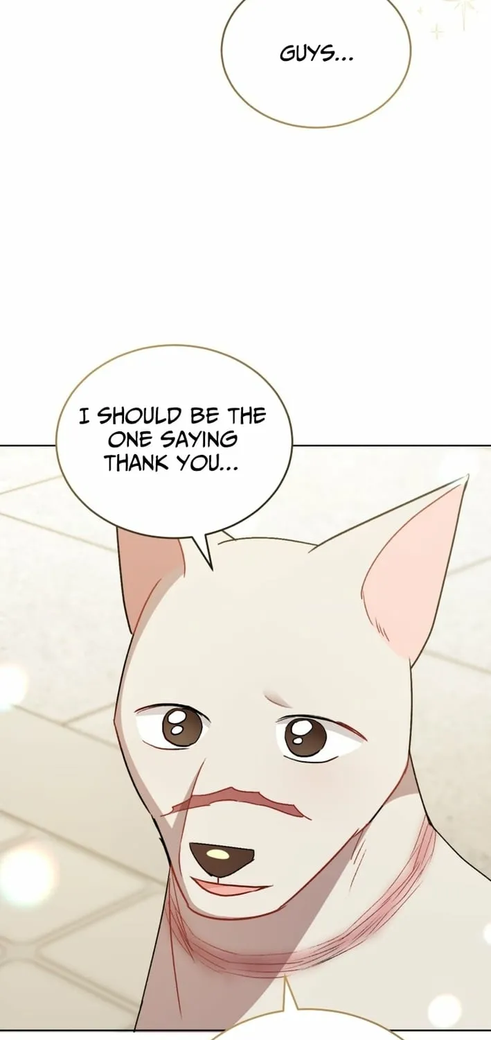 Hello, Mr. Veterinarian! Chapter 120 page 37 - 