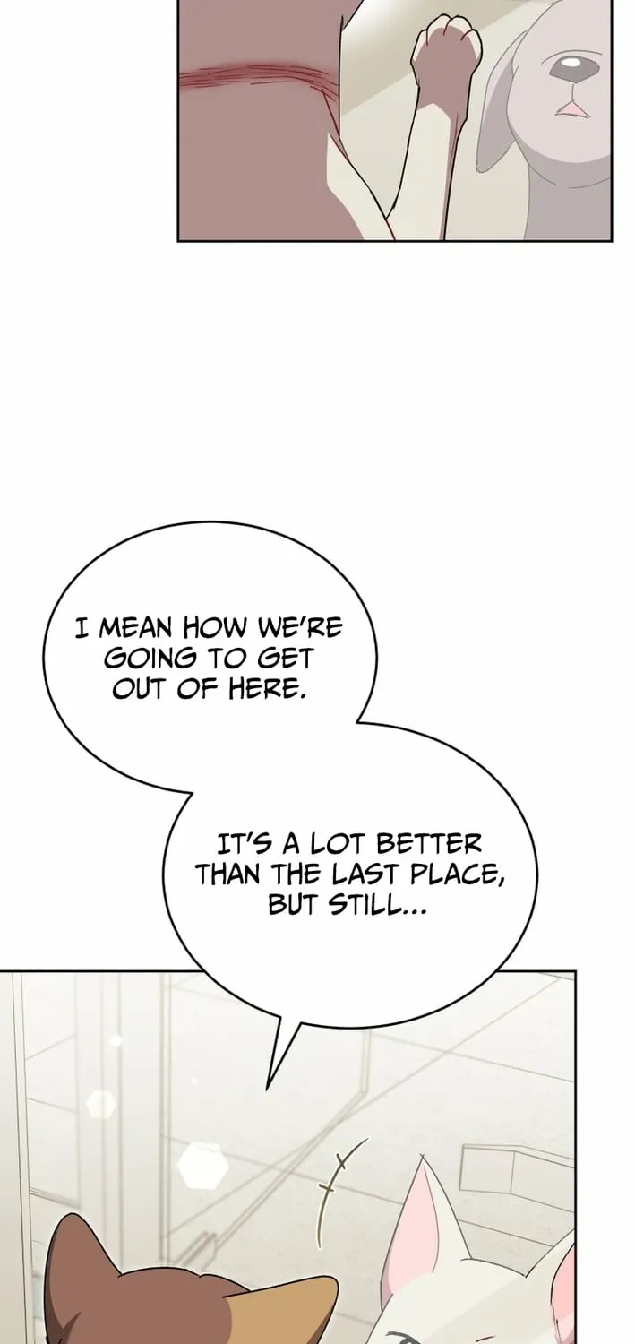 Hello, Mr. Veterinarian! Chapter 120 page 39 - 