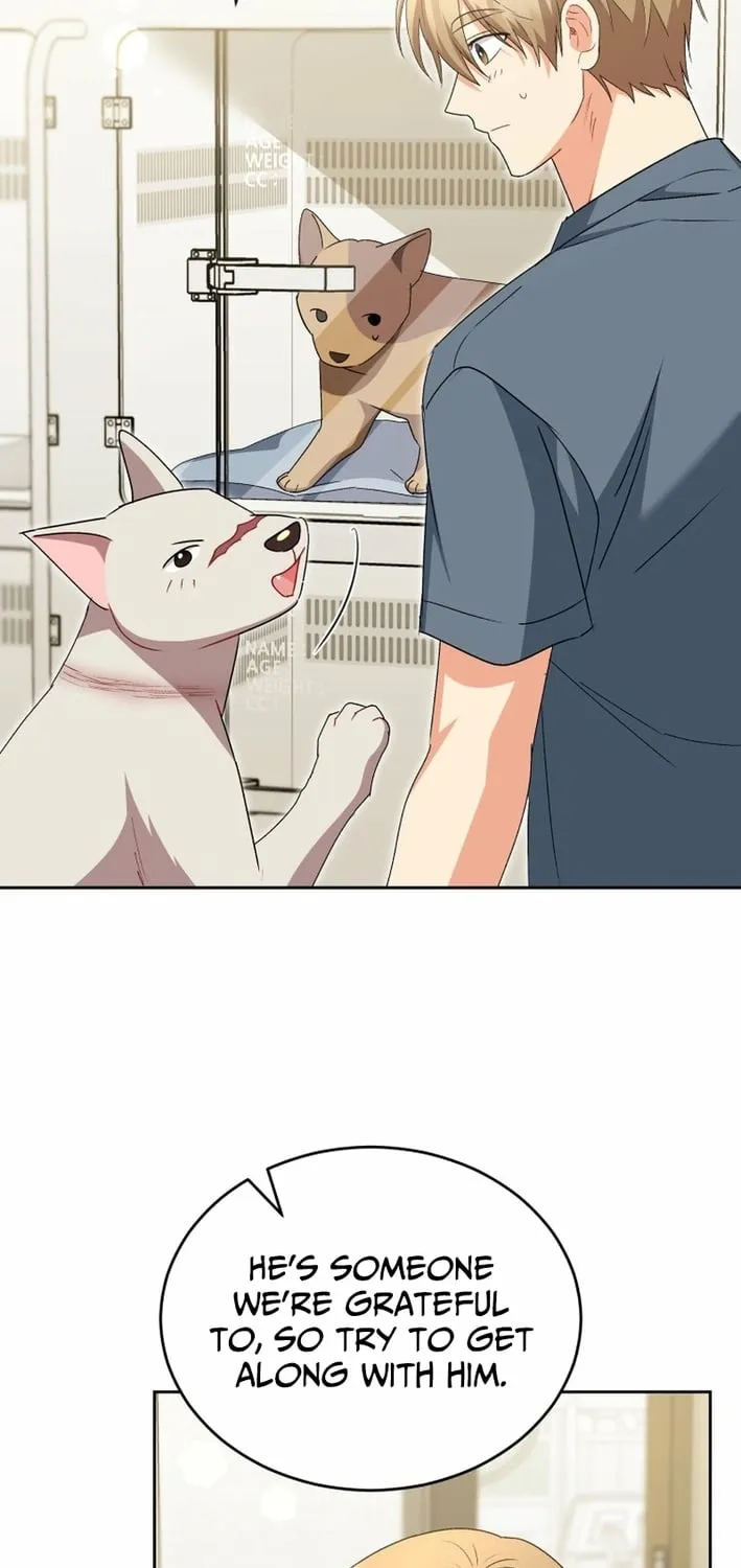 Hello, Mr. Veterinarian! Chapter 120 page 41 - 