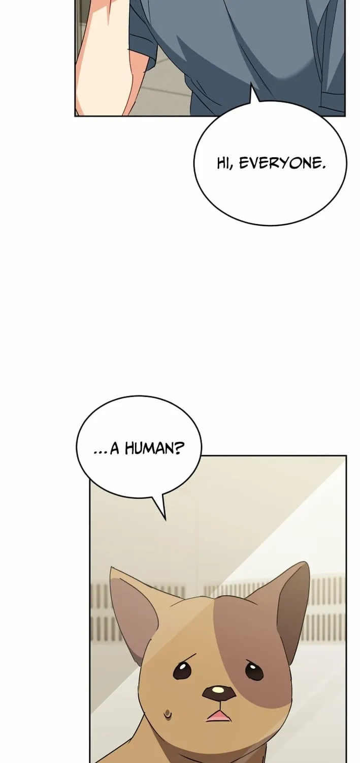 Hello, Mr. Veterinarian! Chapter 120 page 43 - 