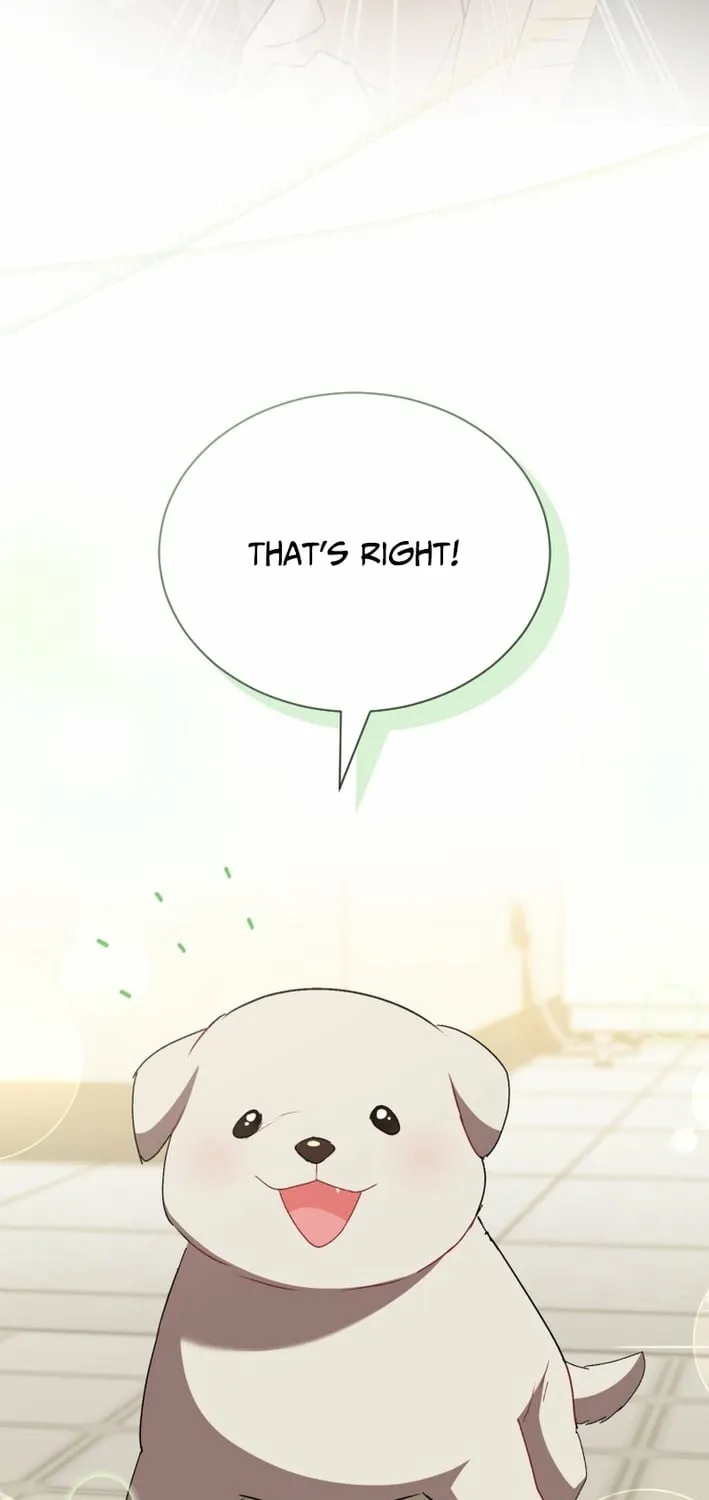Hello, Mr. Veterinarian! Chapter 120 page 49 - 
