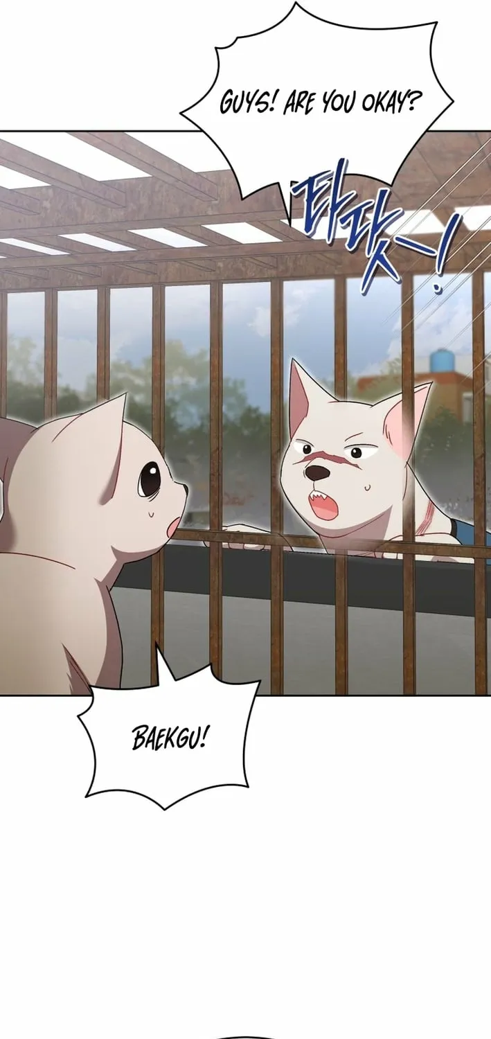 Hello, Mr. Veterinarian! Chapter 120 page 7 - 