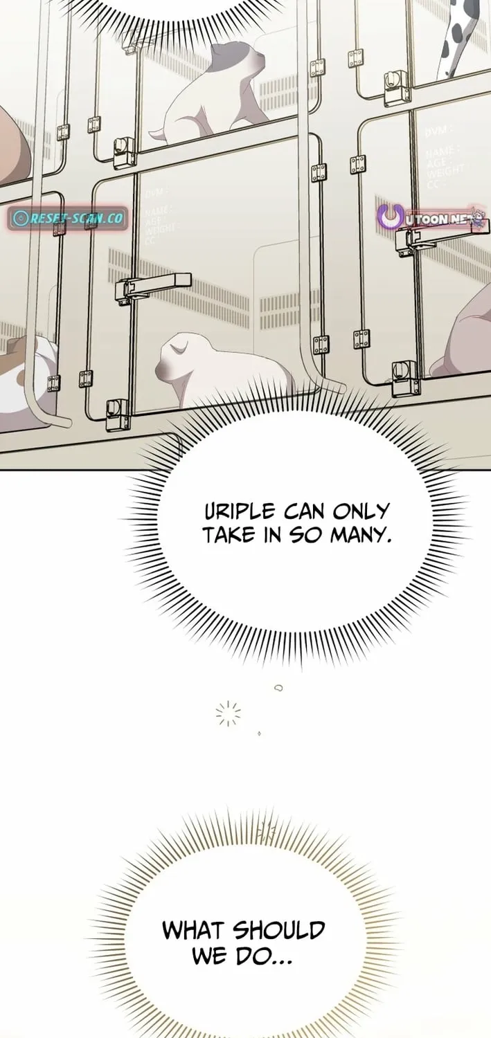 Hello, Mr. Veterinarian! Chapter 120 page 61 - 