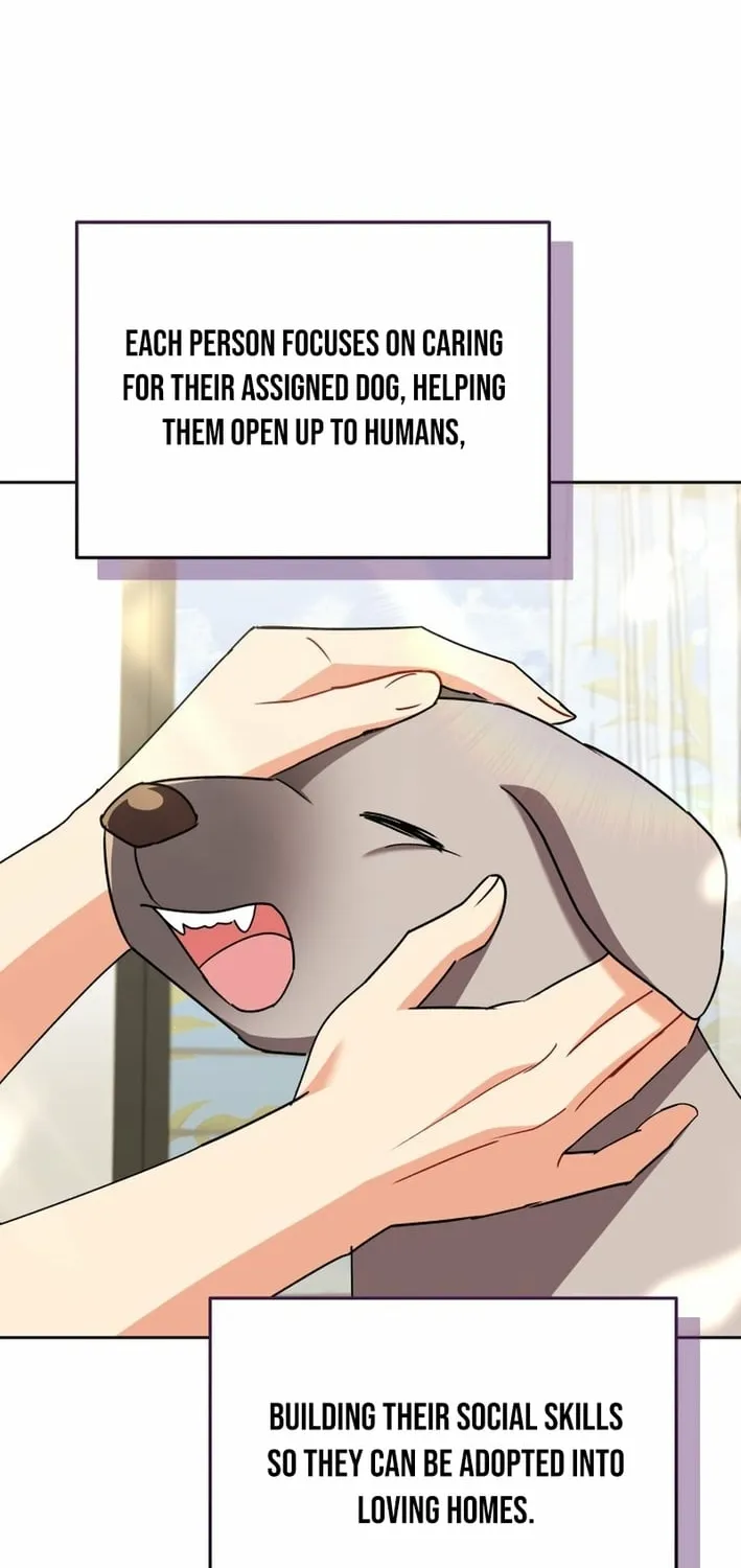 Hello, Mr. Veterinarian! Chapter 121 page 20 - 