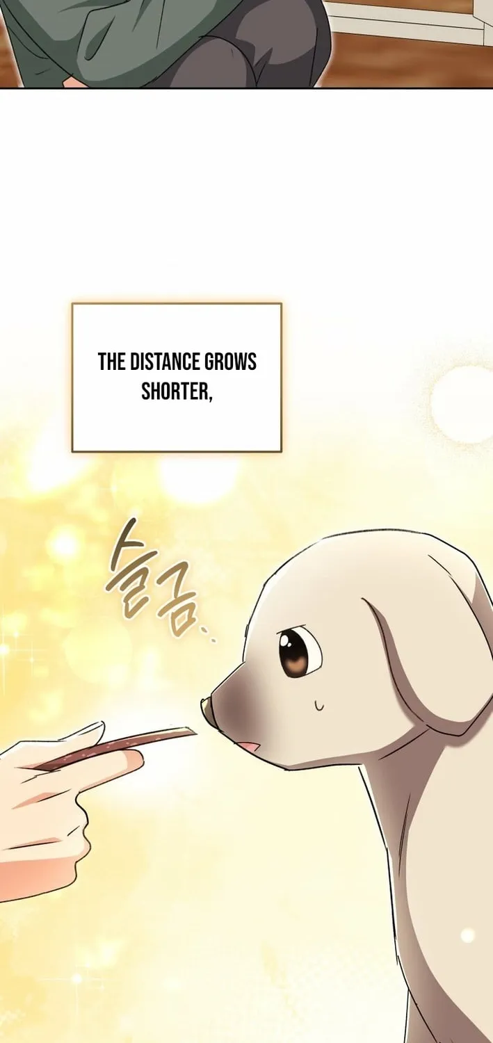 Hello, Mr. Veterinarian! Chapter 121 page 44 - 