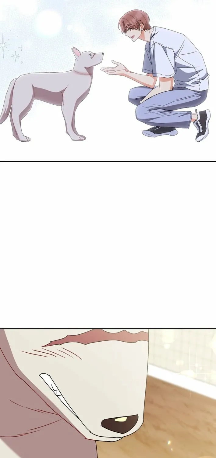 Hello, Mr. Veterinarian! Chapter 121 page 75 - 
