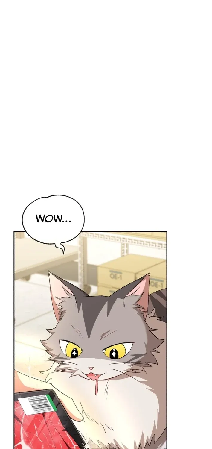 Hello, Mr. Veterinarian! Chapter 125 page 41 - 