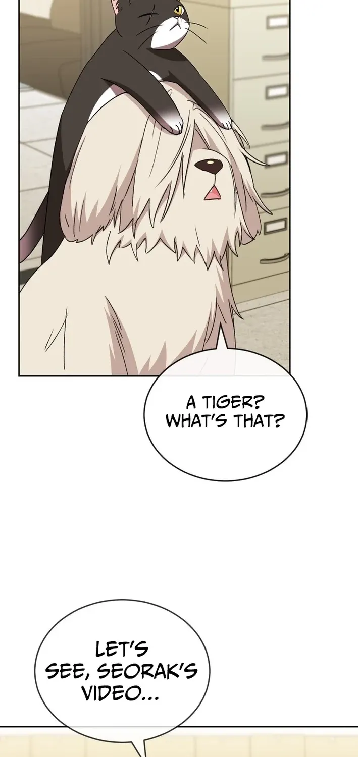 Hello, Mr. Veterinarian! Chapter 125 page 45 - 