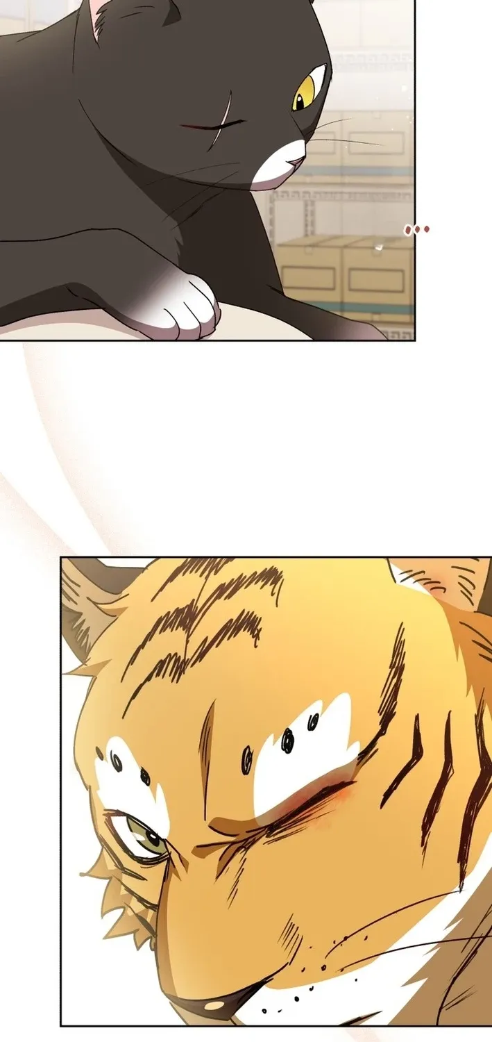 Hello, Mr. Veterinarian! Chapter 125 page 50 - 