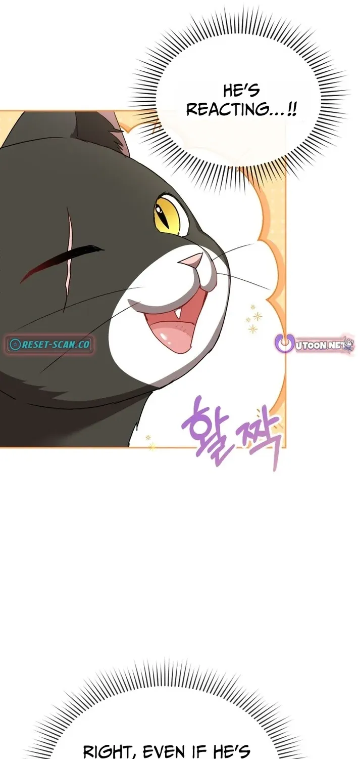 Hello, Mr. Veterinarian! Chapter 125 page 83 - 