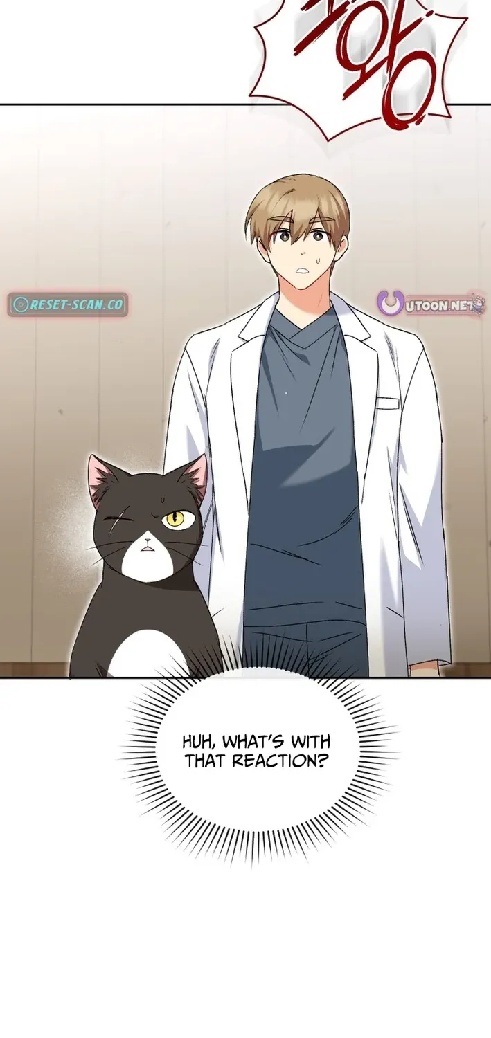 Hello, Mr. Veterinarian! Chapter 126 page 2 - 