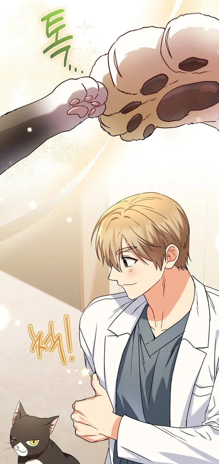 Hello, Mr. Veterinarian! Chapter 126 page 35 - 