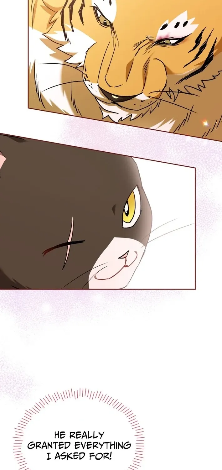 Hello, Mr. Veterinarian! Chapter 127 page 50 - 