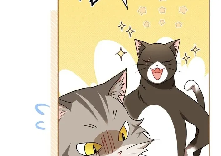 Hello, Mr. Veterinarian! Chapter 127 page 92 - 