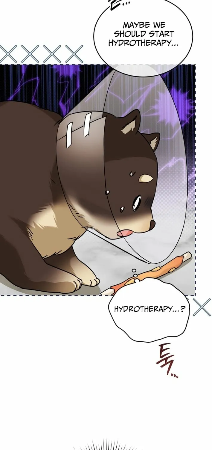 Hello, Mr. Veterinarian! Chapter 128 page 13 - 