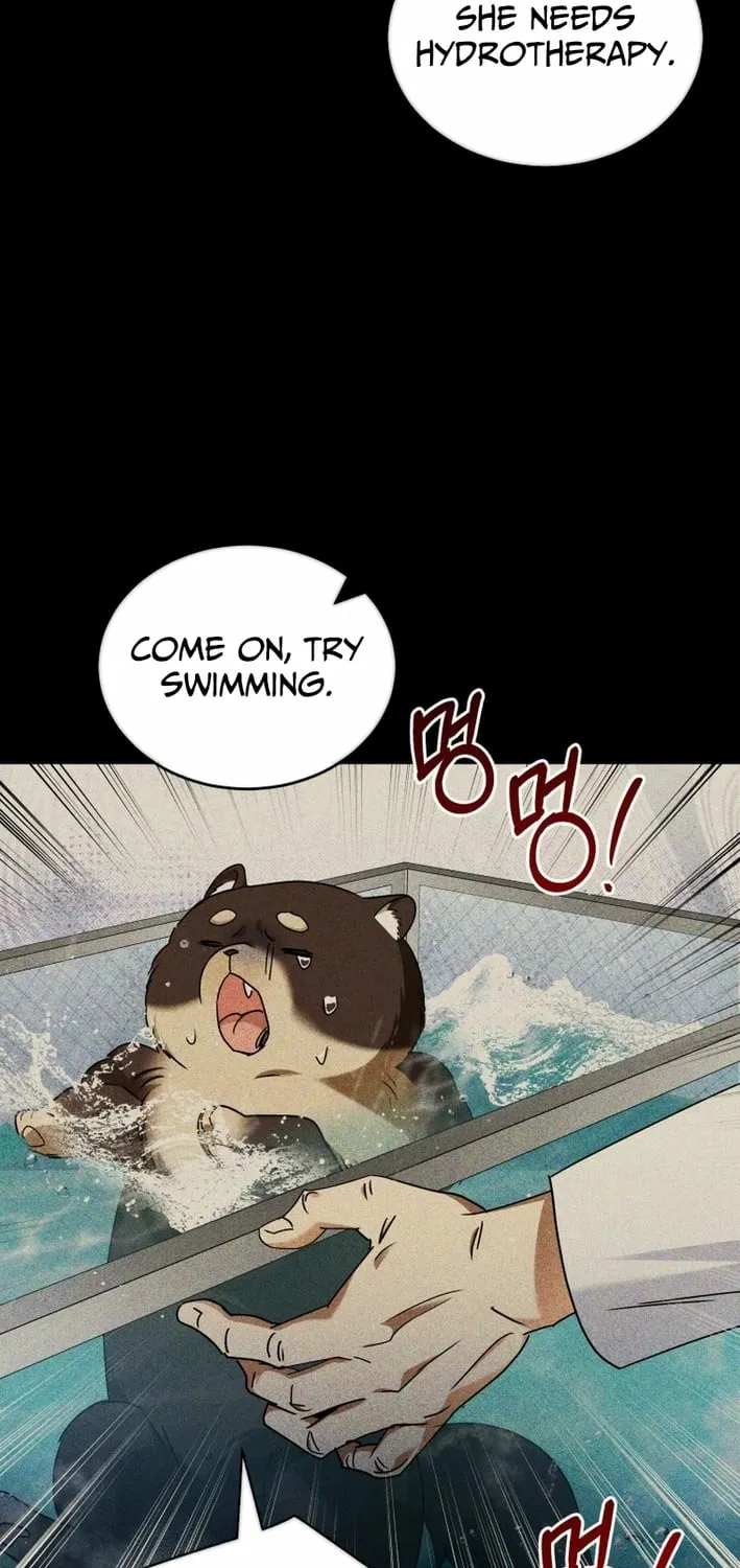 Hello, Mr. Veterinarian! Chapter 128 page 15 - 