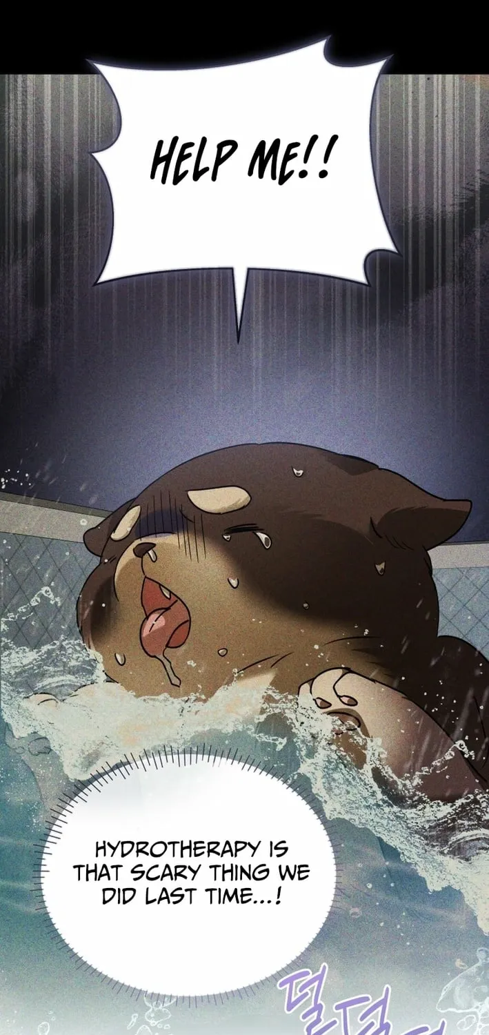 Hello, Mr. Veterinarian! Chapter 128 page 17 - 