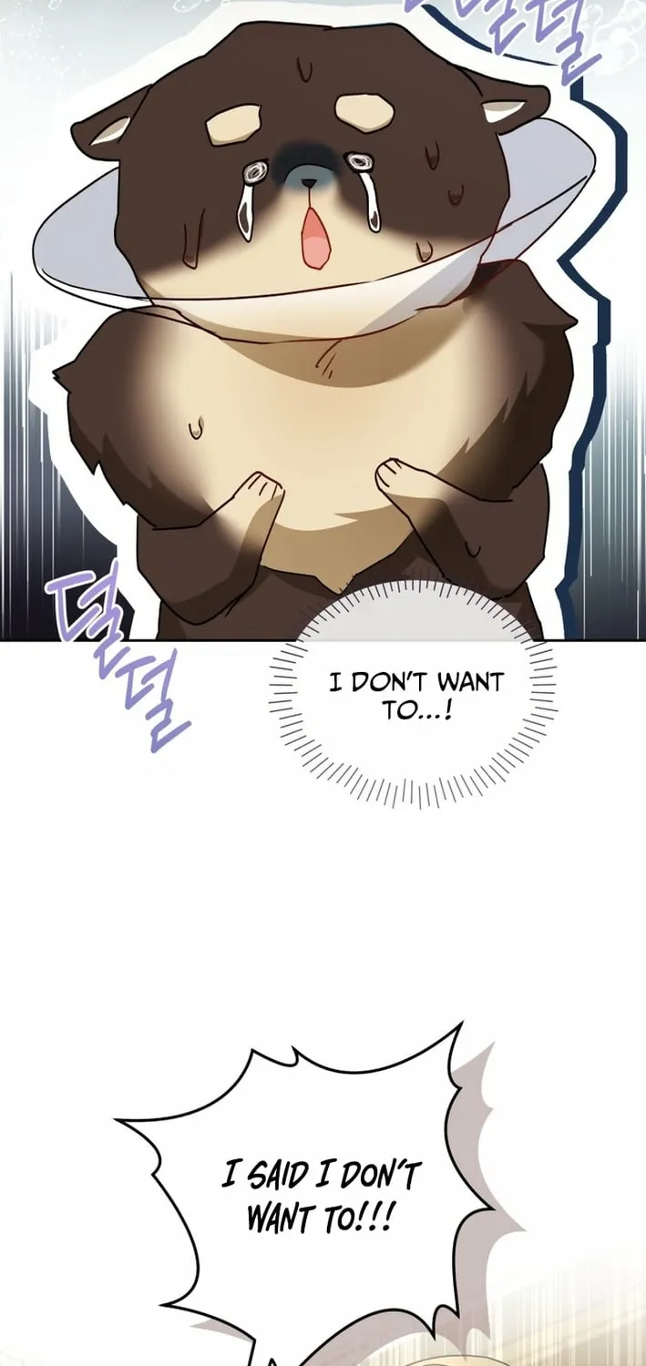 Hello, Mr. Veterinarian! Chapter 128 page 18 - 