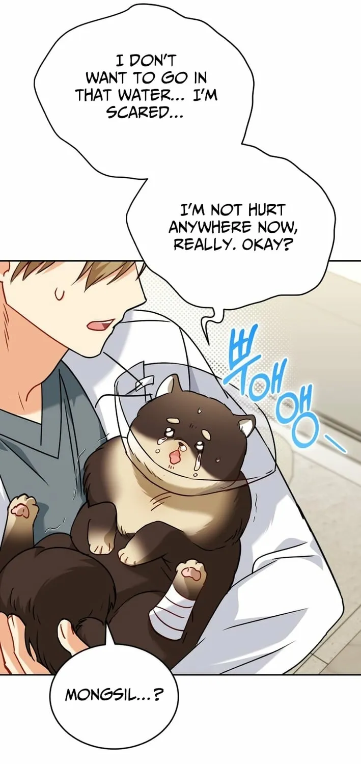Hello, Mr. Veterinarian! Chapter 128 page 27 - 