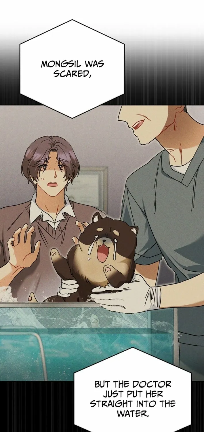 Hello, Mr. Veterinarian! Chapter 128 page 34 - 