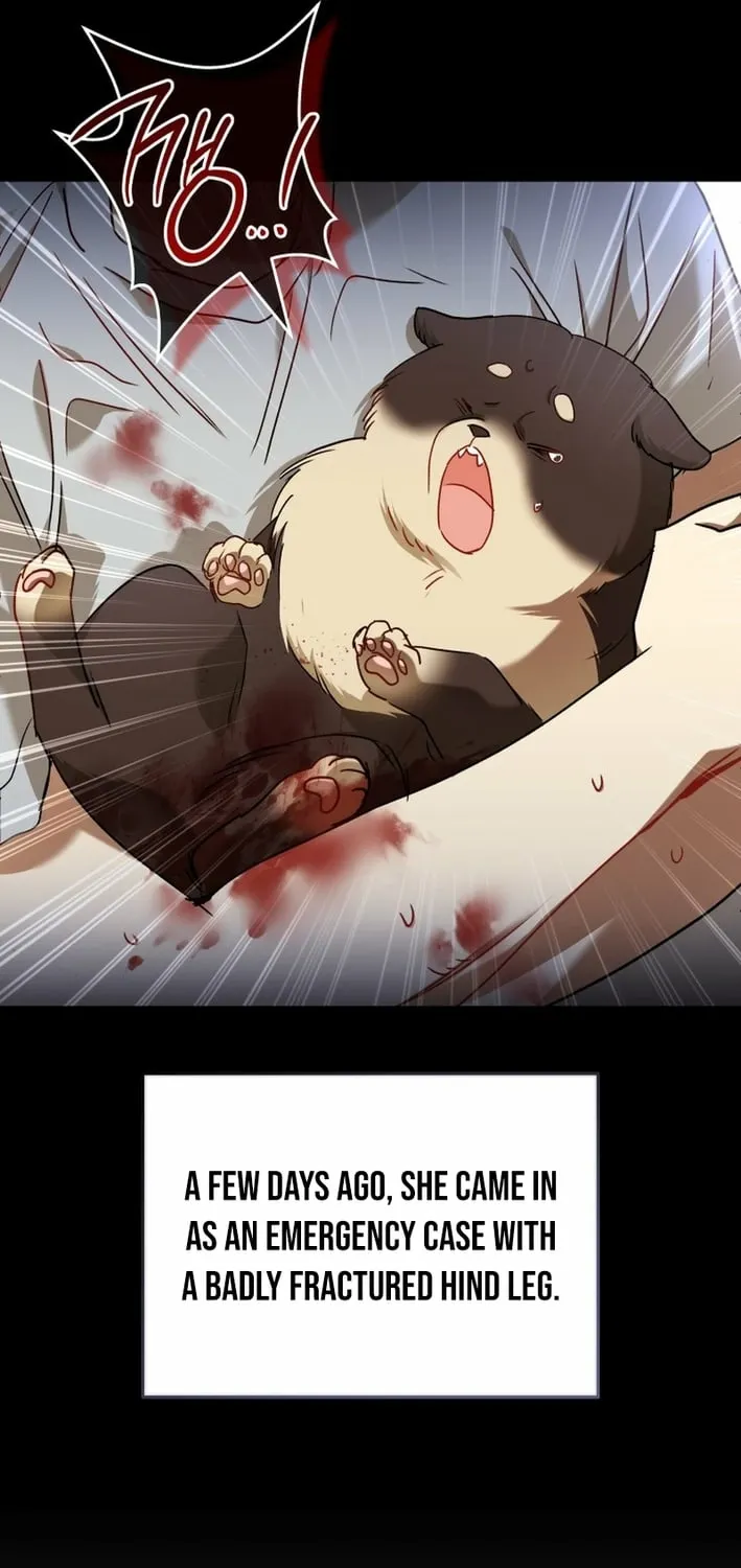 Hello, Mr. Veterinarian! Chapter 128 page 7 - 