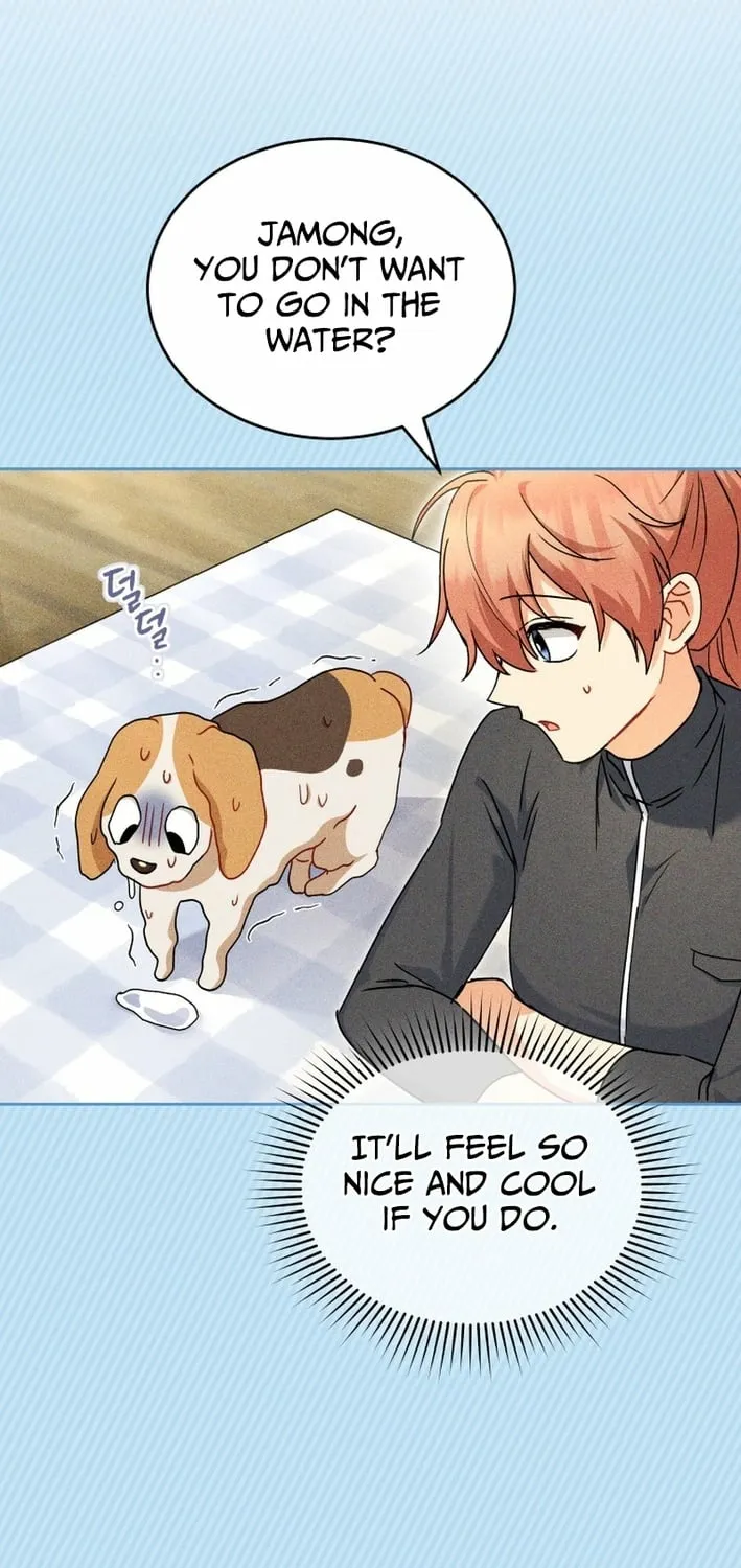 Hello, Mr. Veterinarian! Chapter 128 page 63 - 
