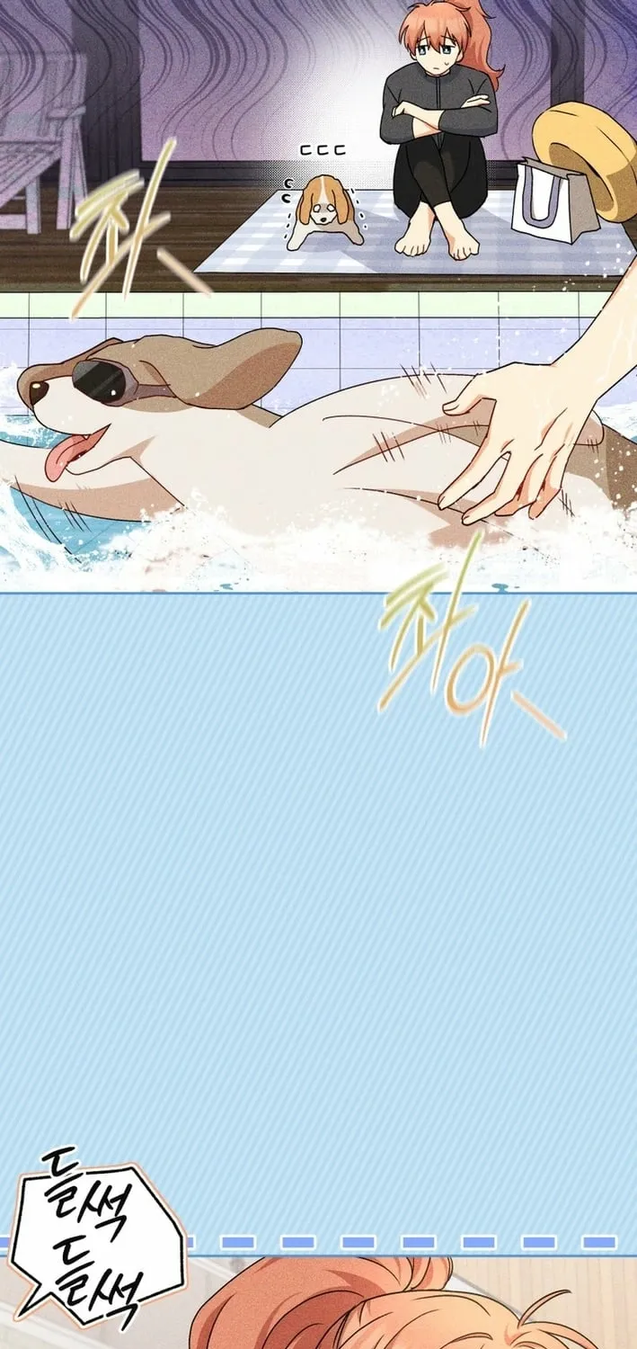 Hello, Mr. Veterinarian! Chapter 128 page 65 - 