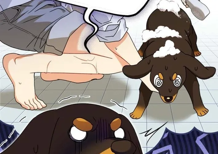 Hello, Mr. Veterinarian! Chapter 129 page 12 - 