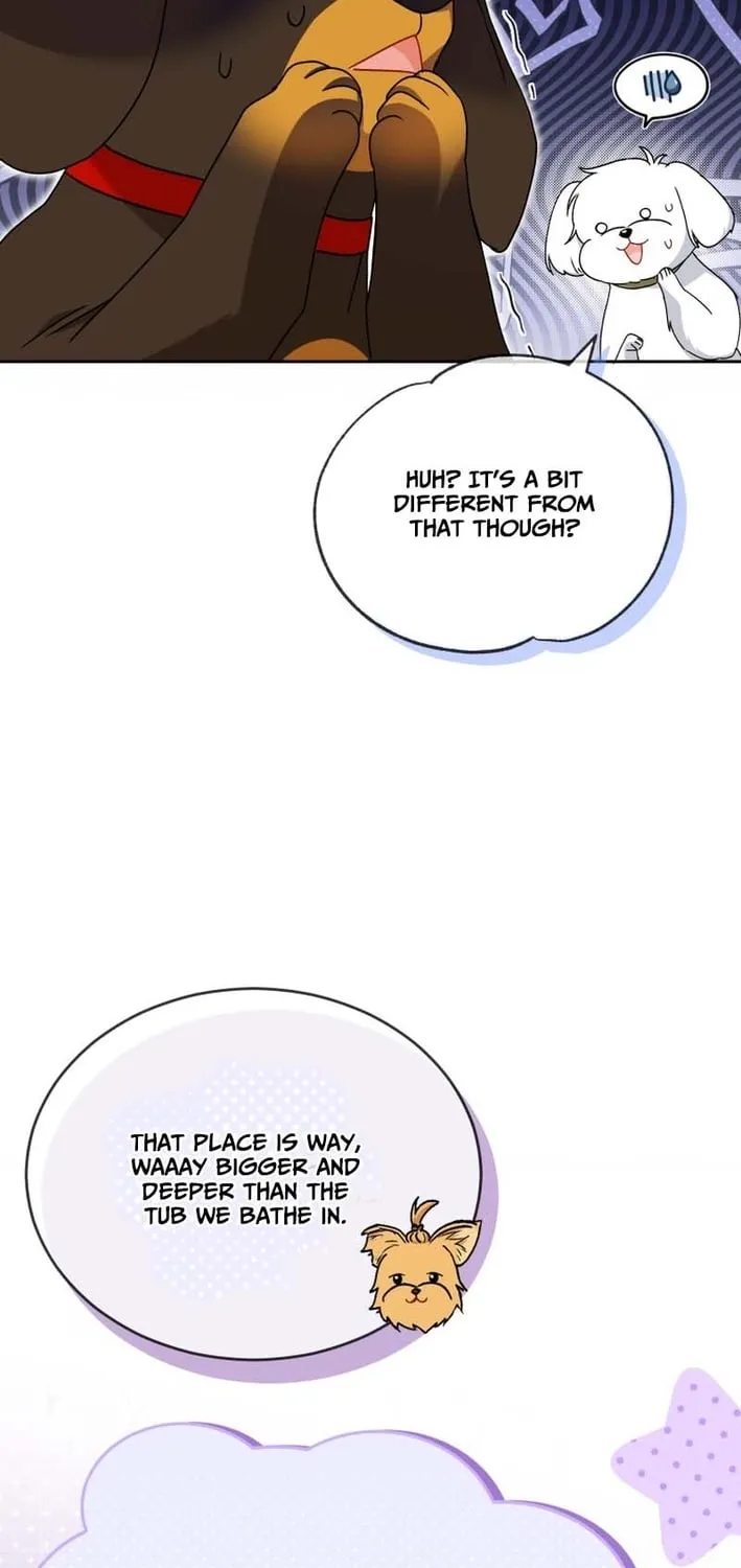 Hello, Mr. Veterinarian! Chapter 129 page 13 - 