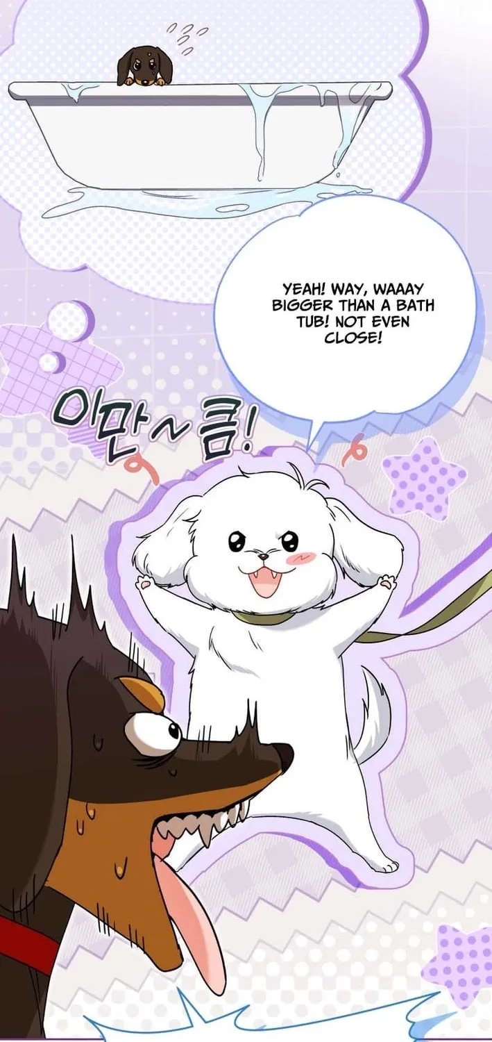 Hello, Mr. Veterinarian! Chapter 129 page 14 - 